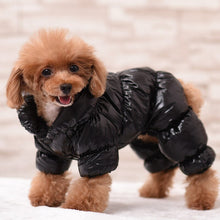 Load image into Gallery viewer, Petrician™ Petware • Luxury Dog Coat •