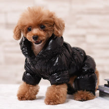 Load image into Gallery viewer, Petrician™ Petware • Luxury Dog Coat •
